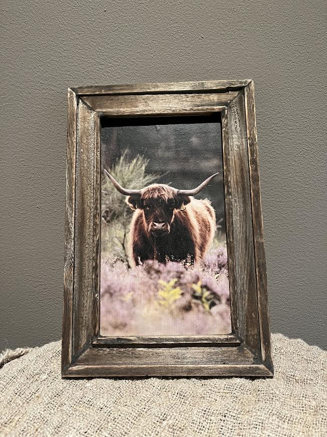 Houten schilderij Bizon heide