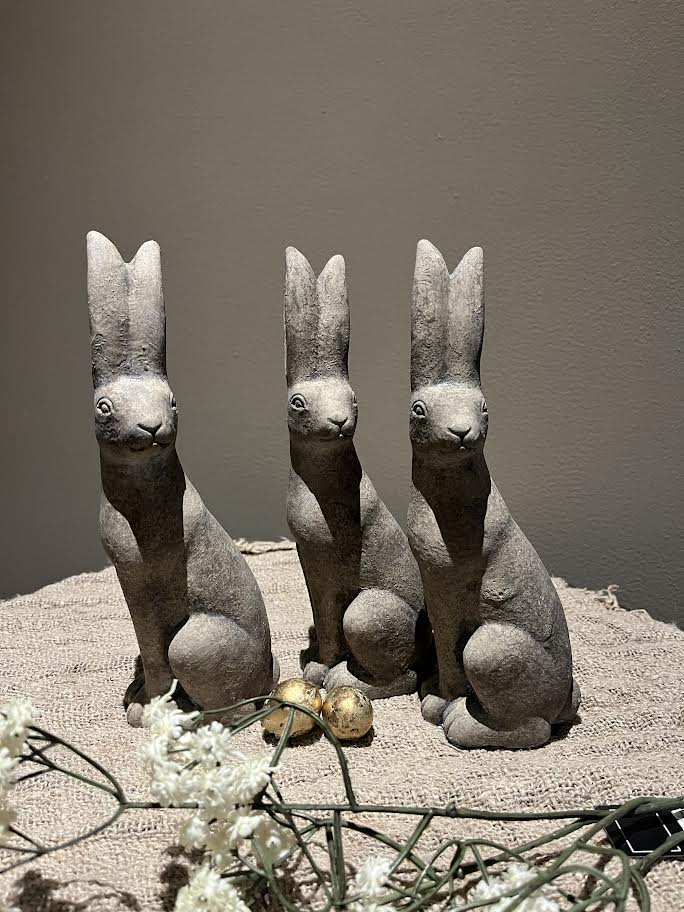 Stenen Haas schuin zittend