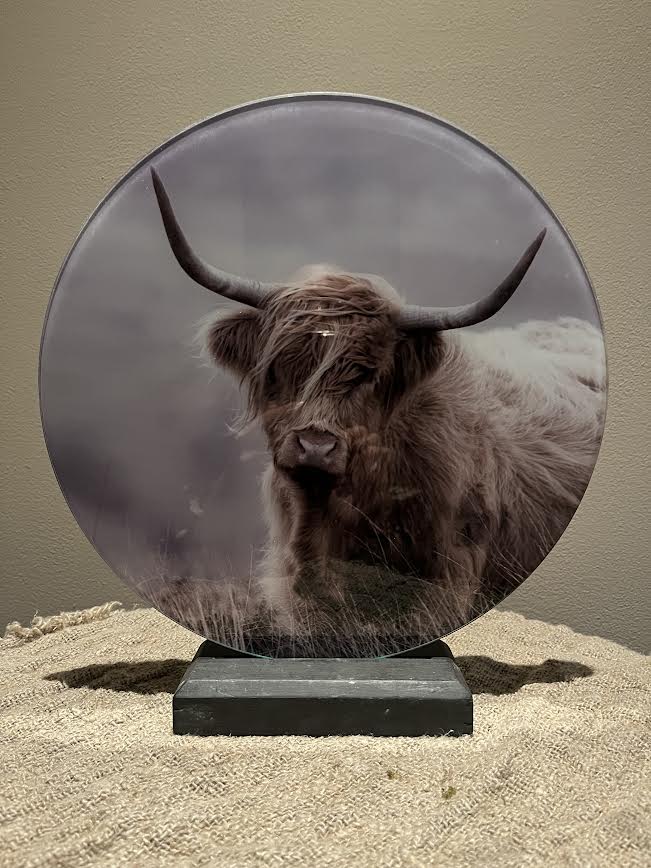 Groot glasschilderij Bizon 1