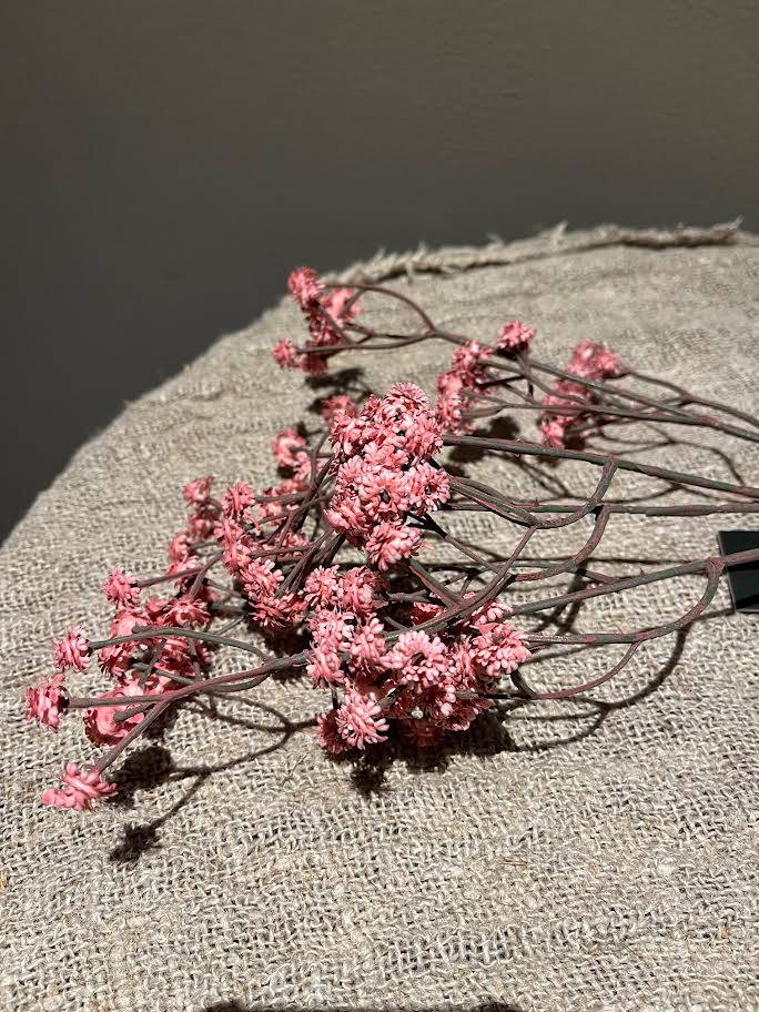 Roze tak gipskruid