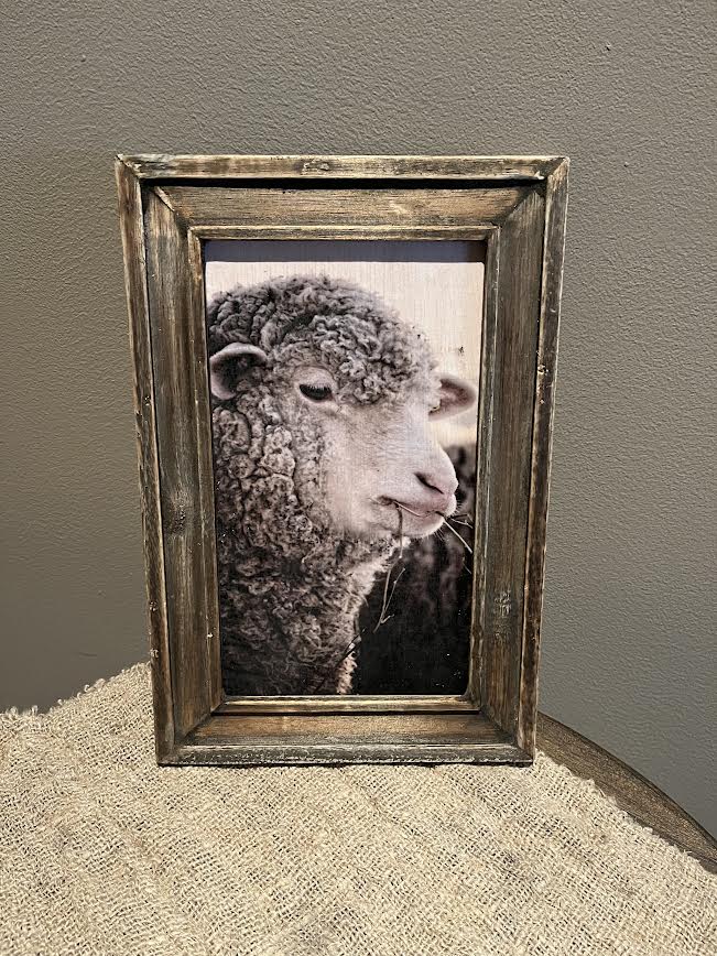 Houtenschilderij met schaap