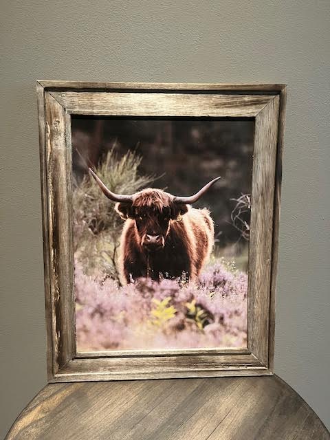 Schilderij Bizon heidebloem