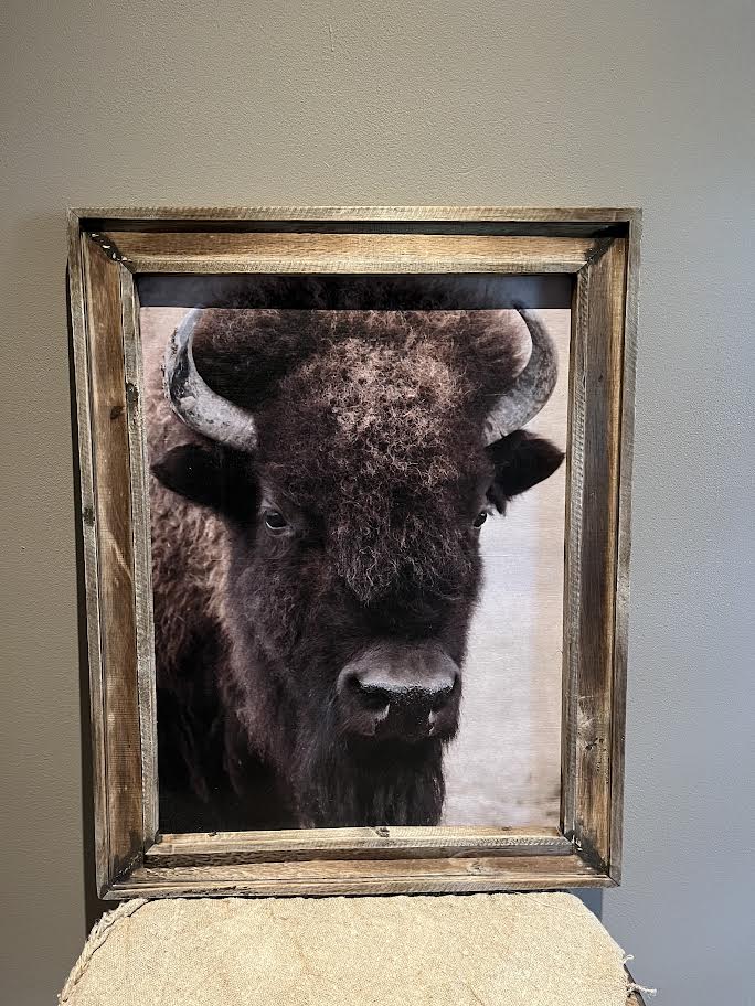 Bizon schilderij XL