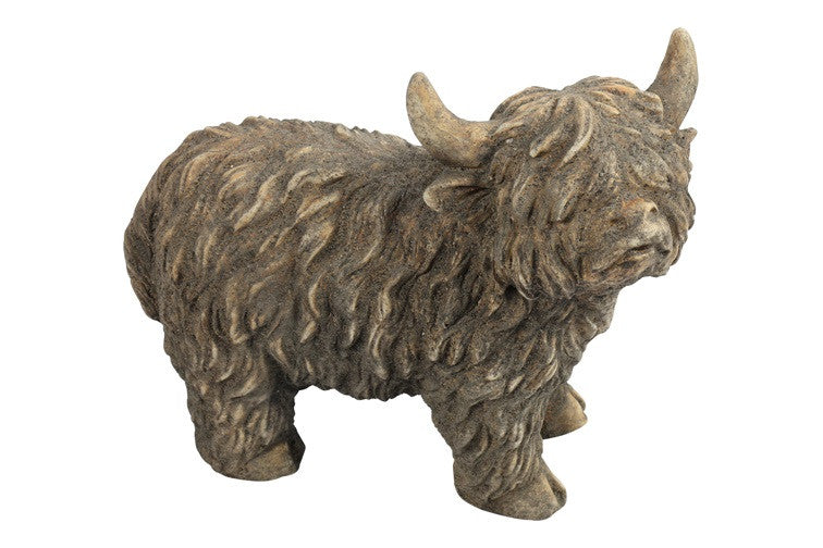 Schotse hooglander Yuki S bruin