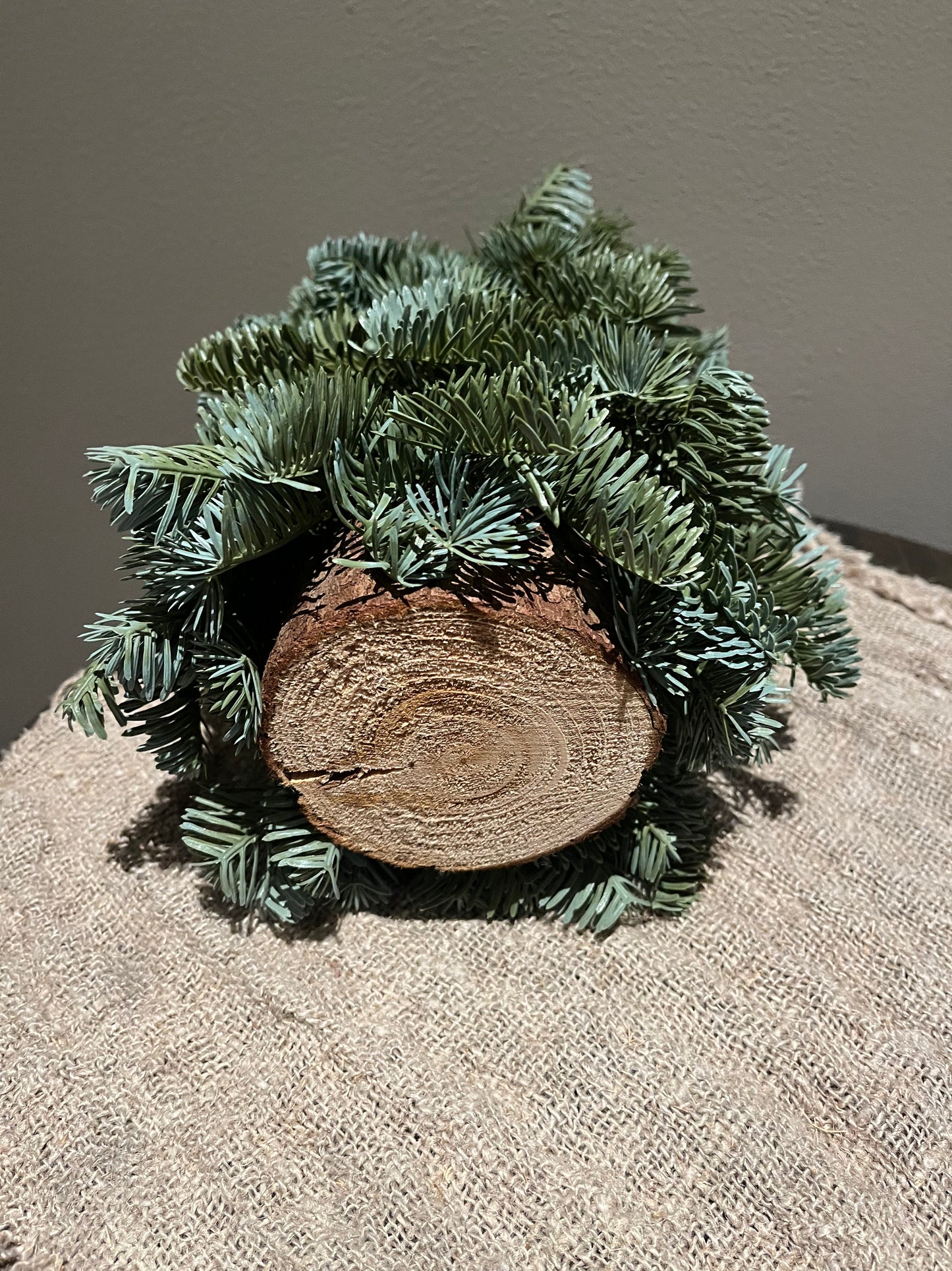 Nobilis boompje