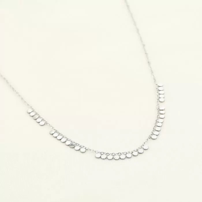 Muntjes Ketting zilver