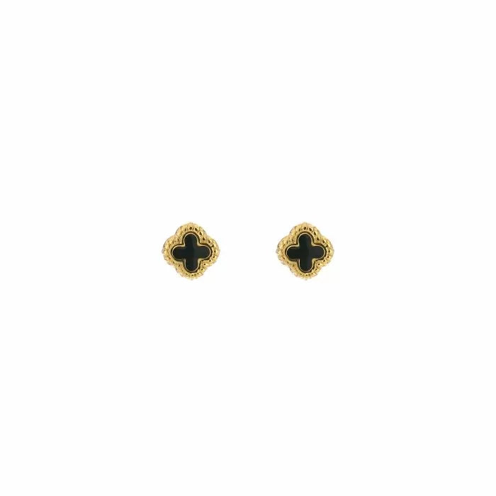 Klaverknopjes black gold