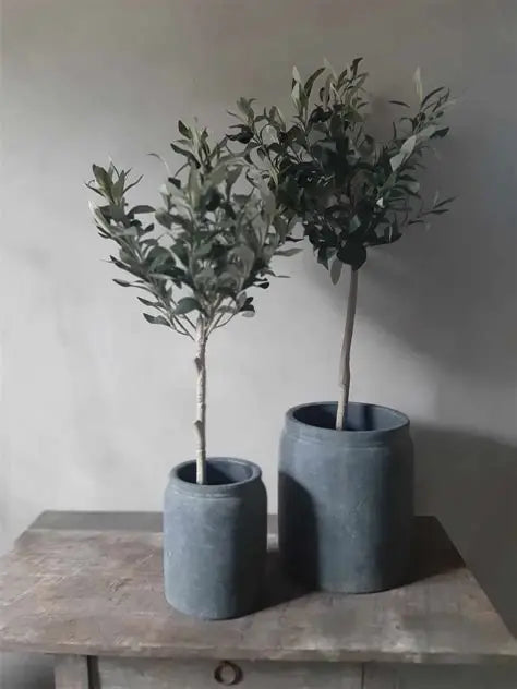 Kunst olijfboompje