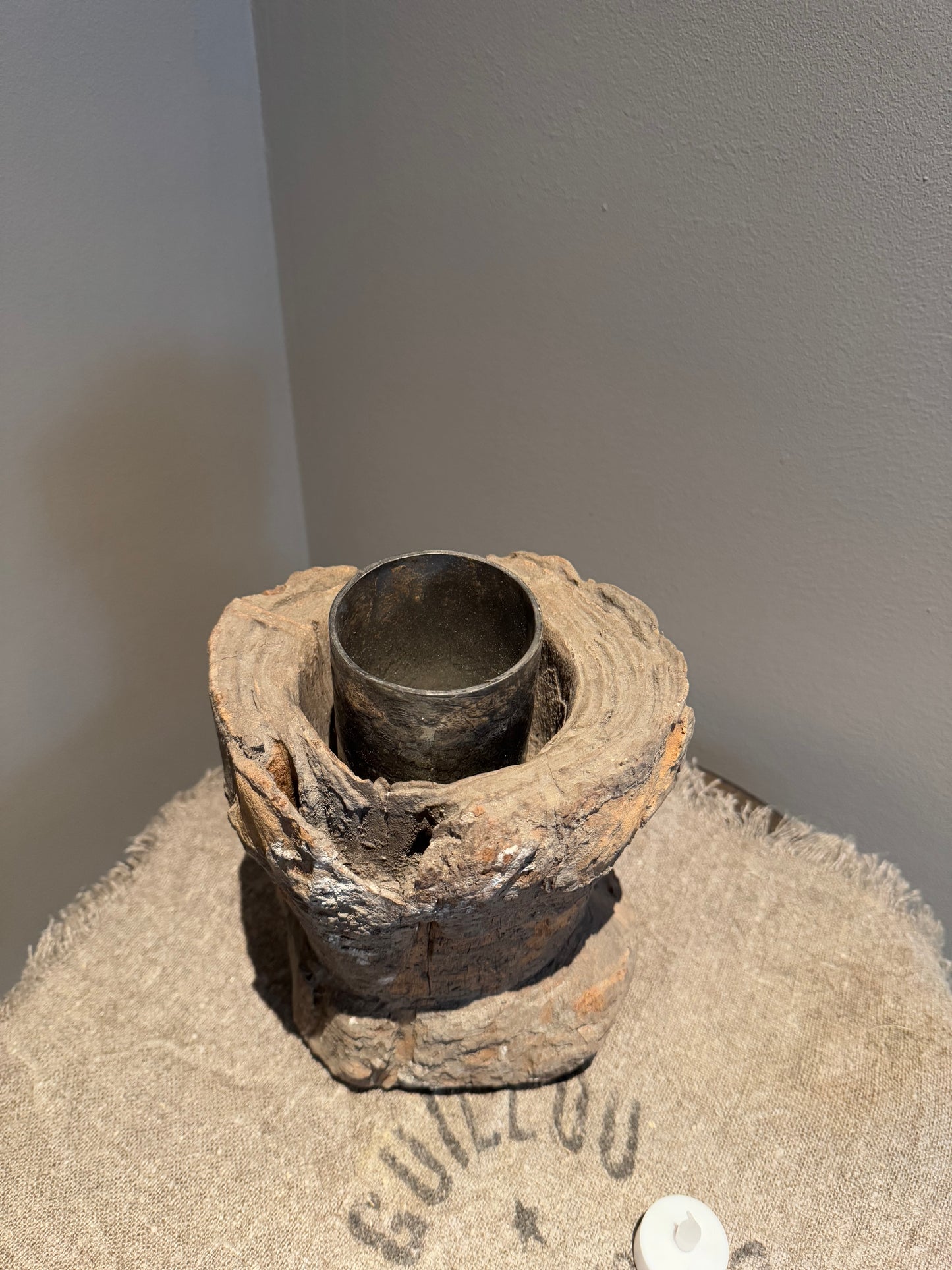 Stoere Oude Vijzel