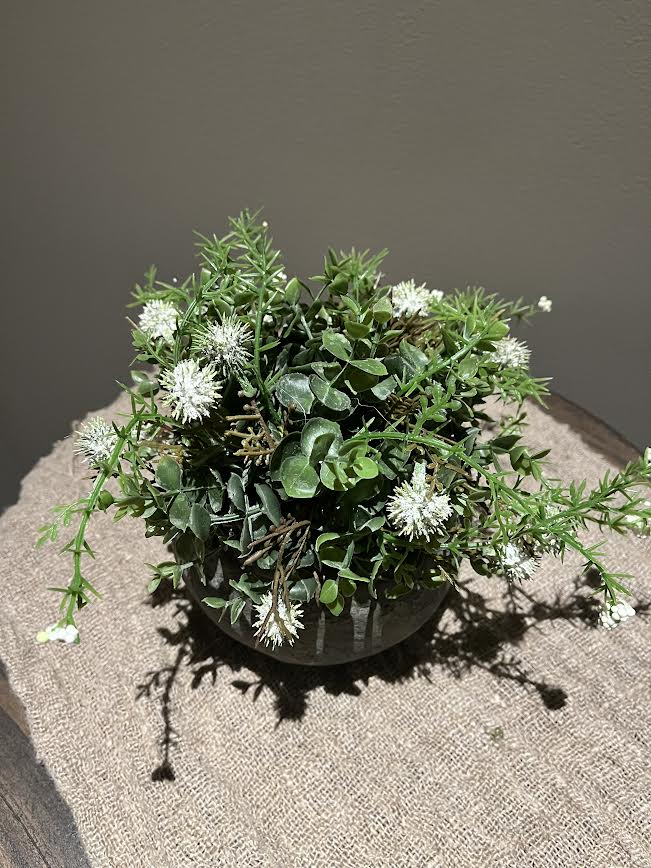 Stenen pot met halve voorjaarsbol