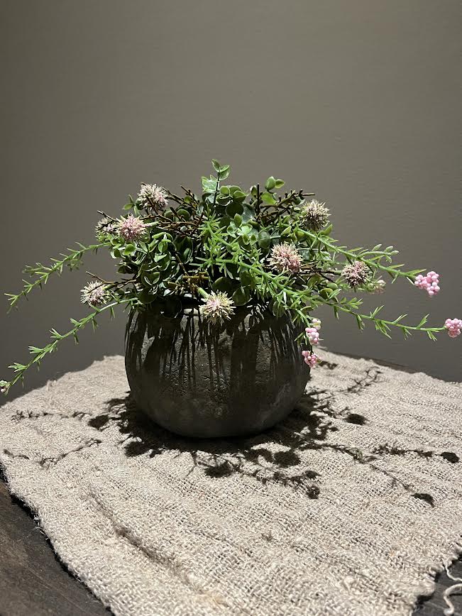 Stenen pot met halve voorjaarsbol