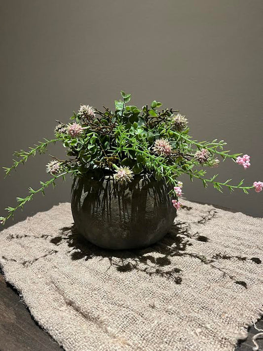 Stenen pot met halve voorjaarsbol