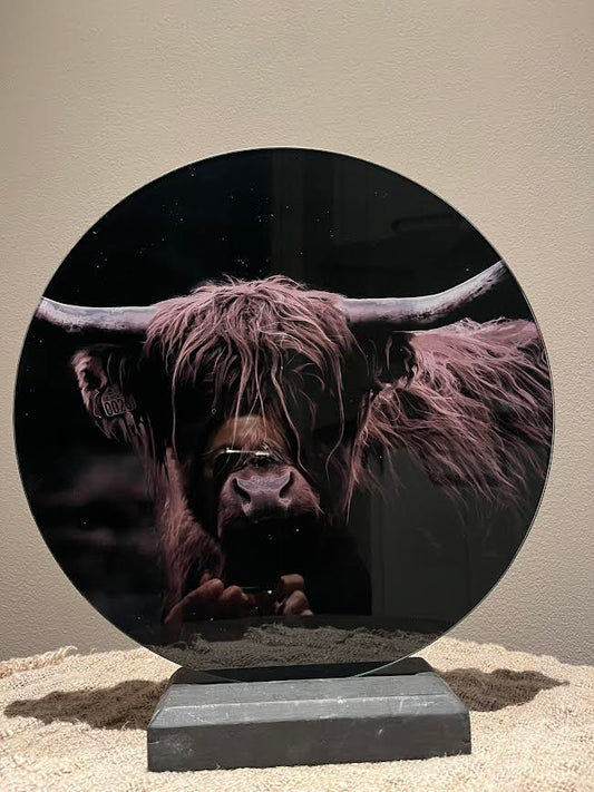 Groot glasschilderij Bizon 3