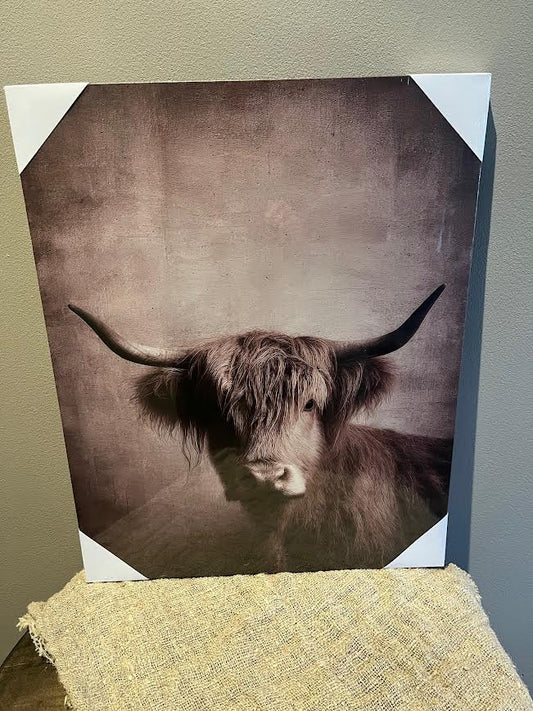 Canvas doek met hooglander bruin