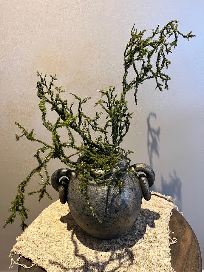 Countryfield Mos tak