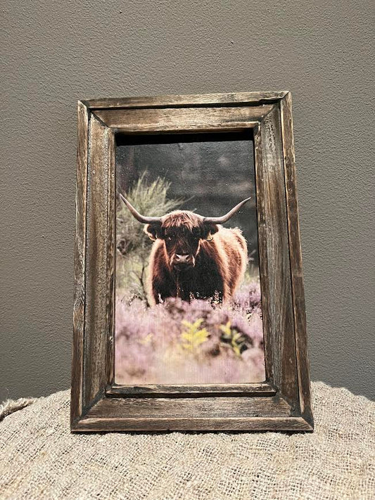 Houten schilderij Bizon heide