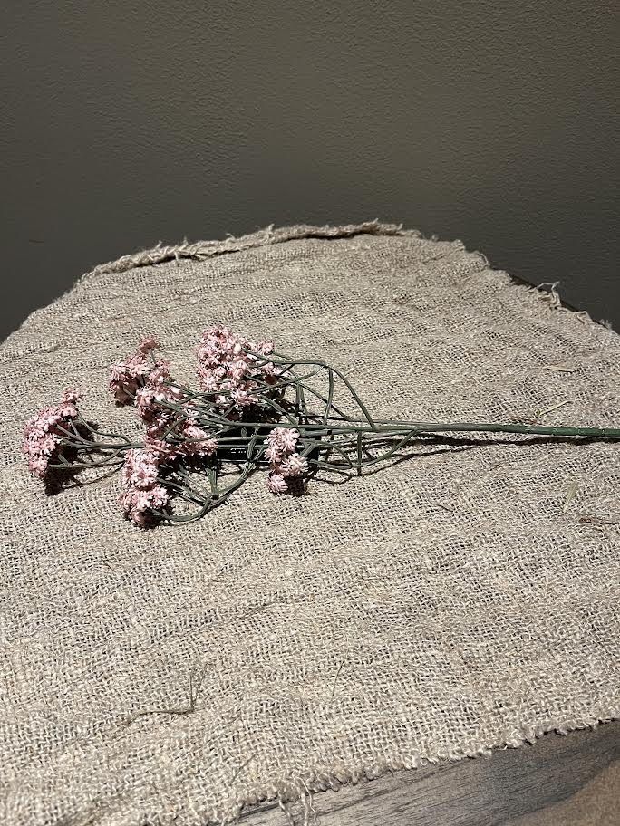 Zachte roze tak gipskruid