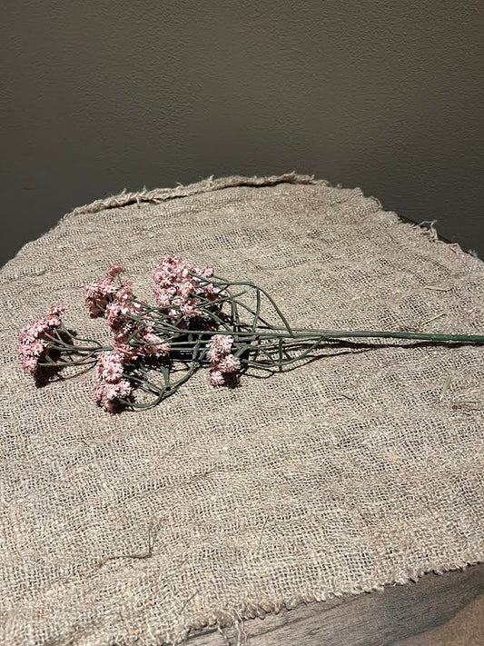 Zachte roze tak gipskruid