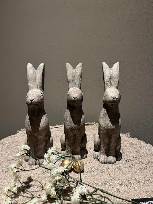 Stenen Haas recht zittend