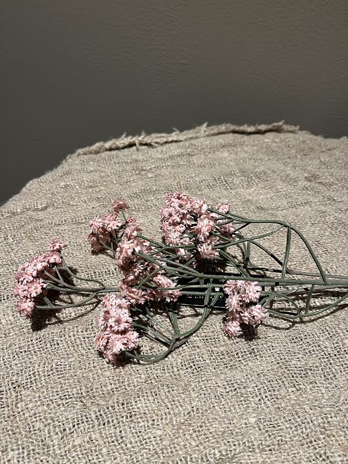 Zachte roze tak gipskruid