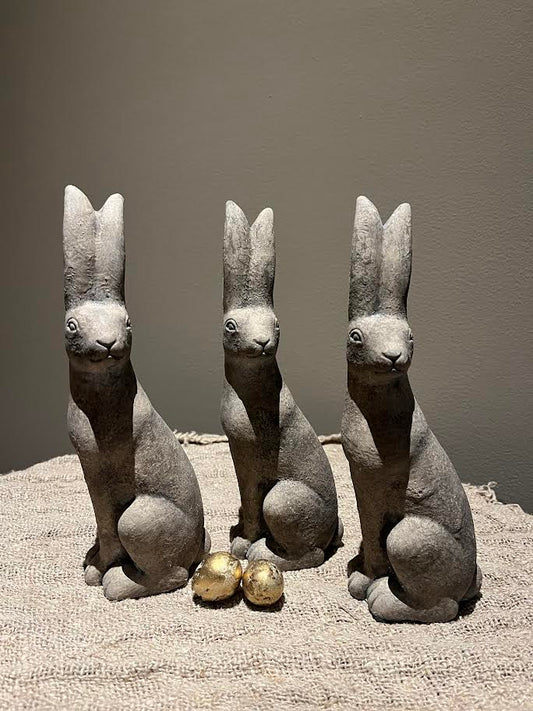 Stenen Haas schuin zittend