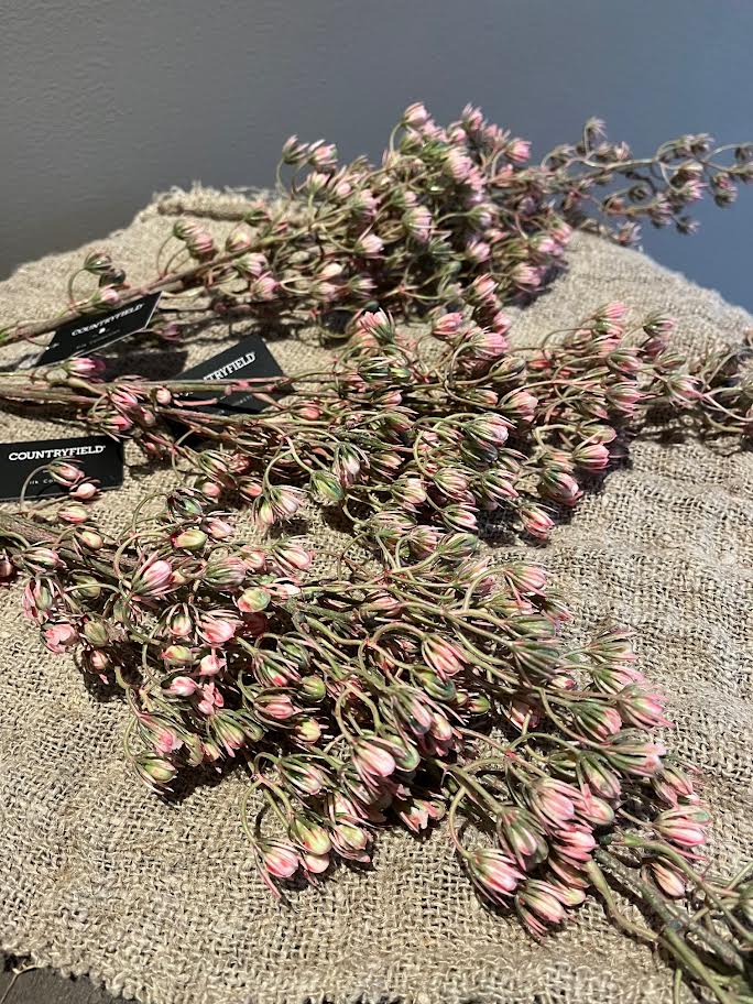 Countryfield decoratieve tak Kalanchoe