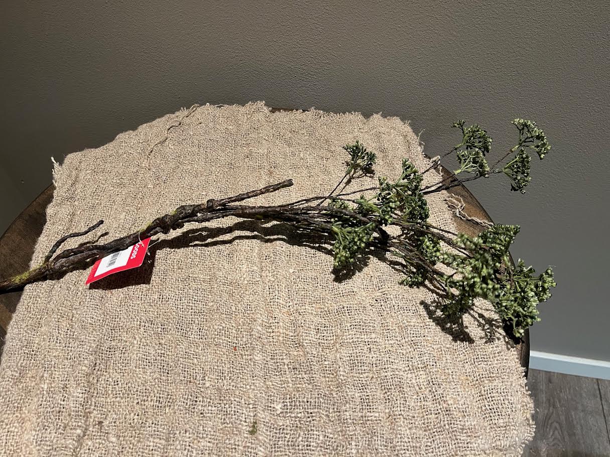 Klimop bessen tak groen