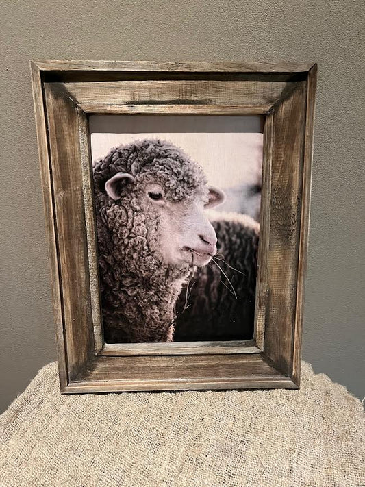 Houtenschilderij Schaap