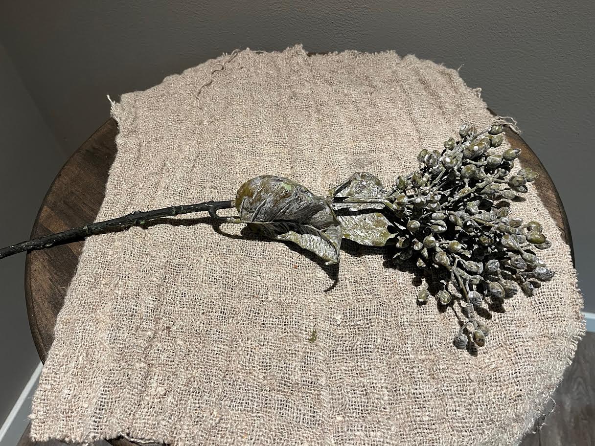 Bruin grijze tak met blad en besjes