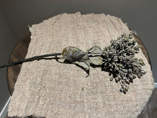 Bruin grijze tak met blad en besjes