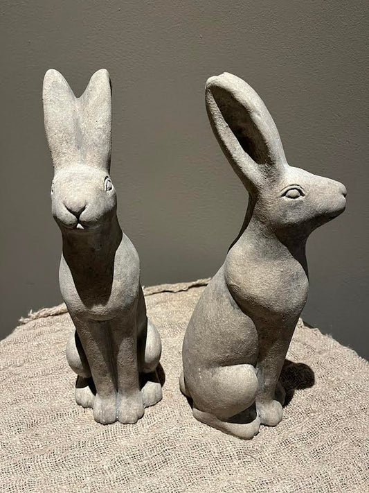 Stenen Haas recht zittend XL