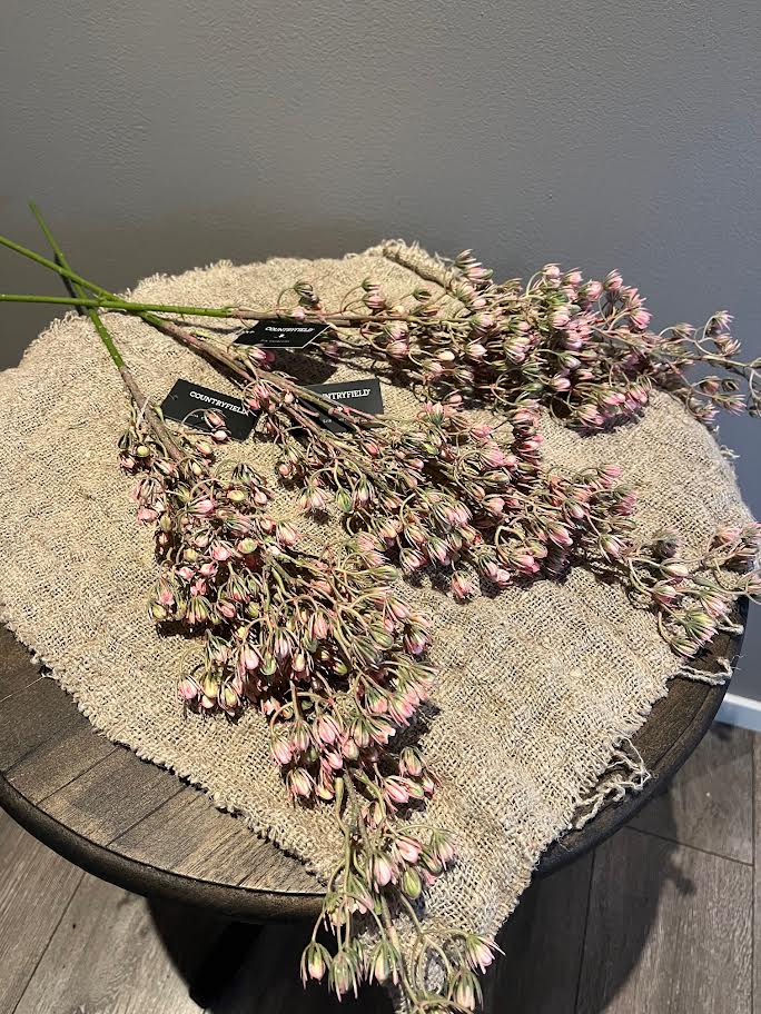 Countryfield decoratieve tak Kalanchoe