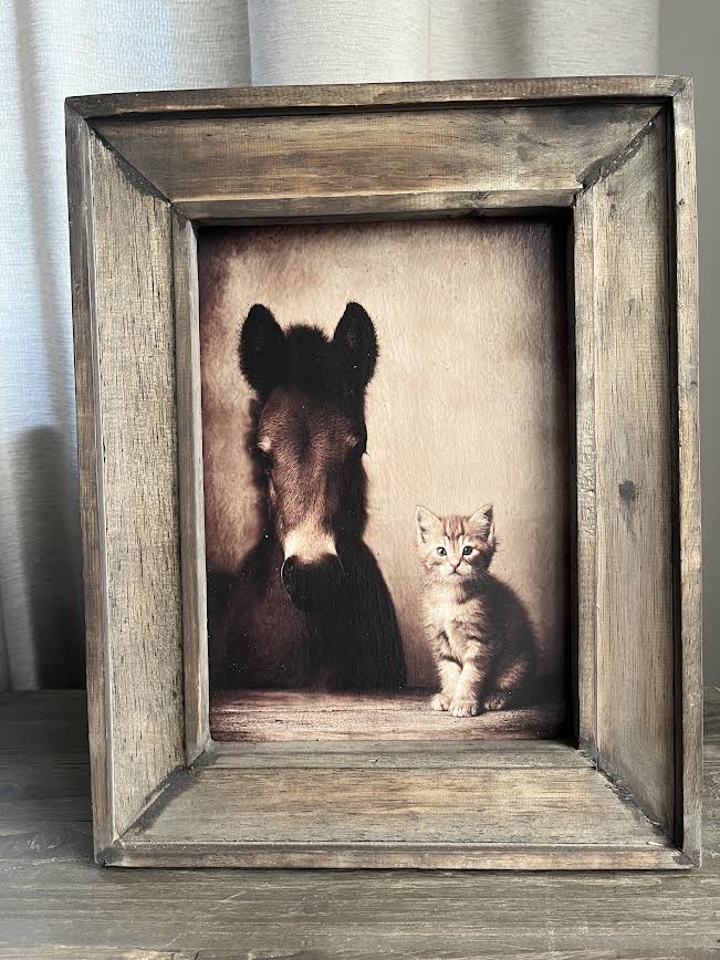 Houten schilderij Pony en Poes