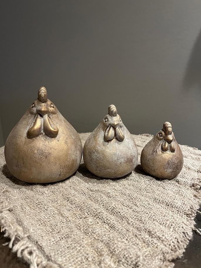 Brynxz set van 3 kippen Jewel