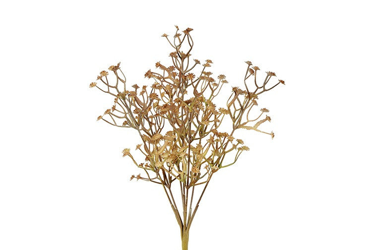Gypsophila licht bruine tak