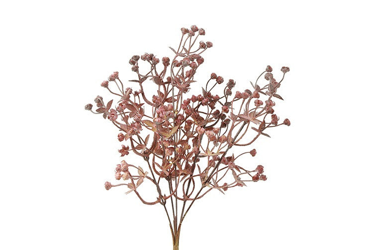 Tak Exacum oud rose/rood  bosje