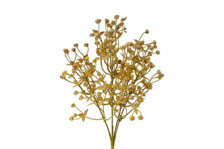 Bosje Acaena bruin/beige
