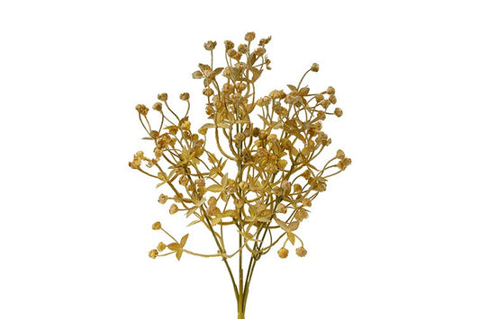 Bosje Acaena bruin/beige