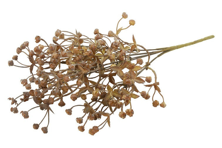 Bosje Acaena bruin/beige