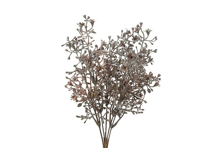 Skimmia paars/grijze tak/ bosje