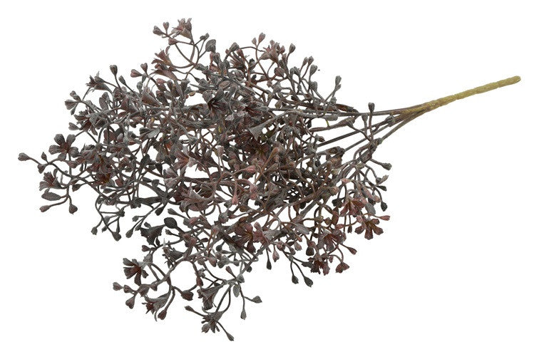 Skimmia paars/grijze tak/ bosje
