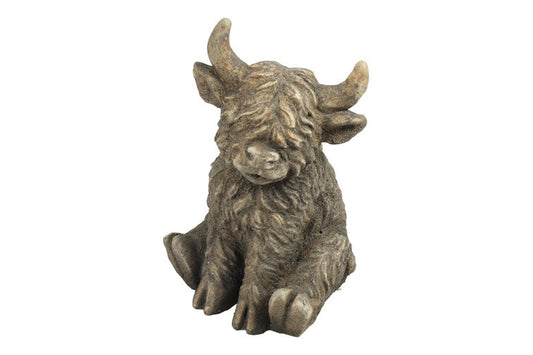 Schotse hooglander zittend Yuki S bruin