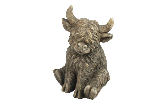 Schotse hooglander zittend Yuki M bruin