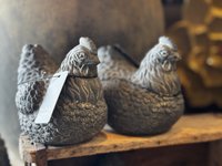 Brynxz Kip Majestic Vintage