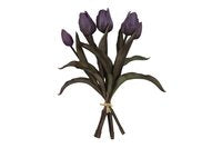 Bosje paarse kunst tulpen Countryfield